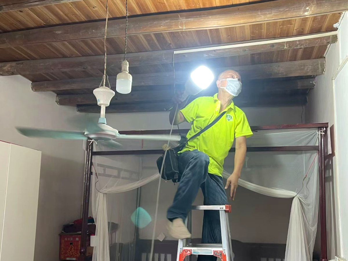 搭梯检查木屋架白蚁作业