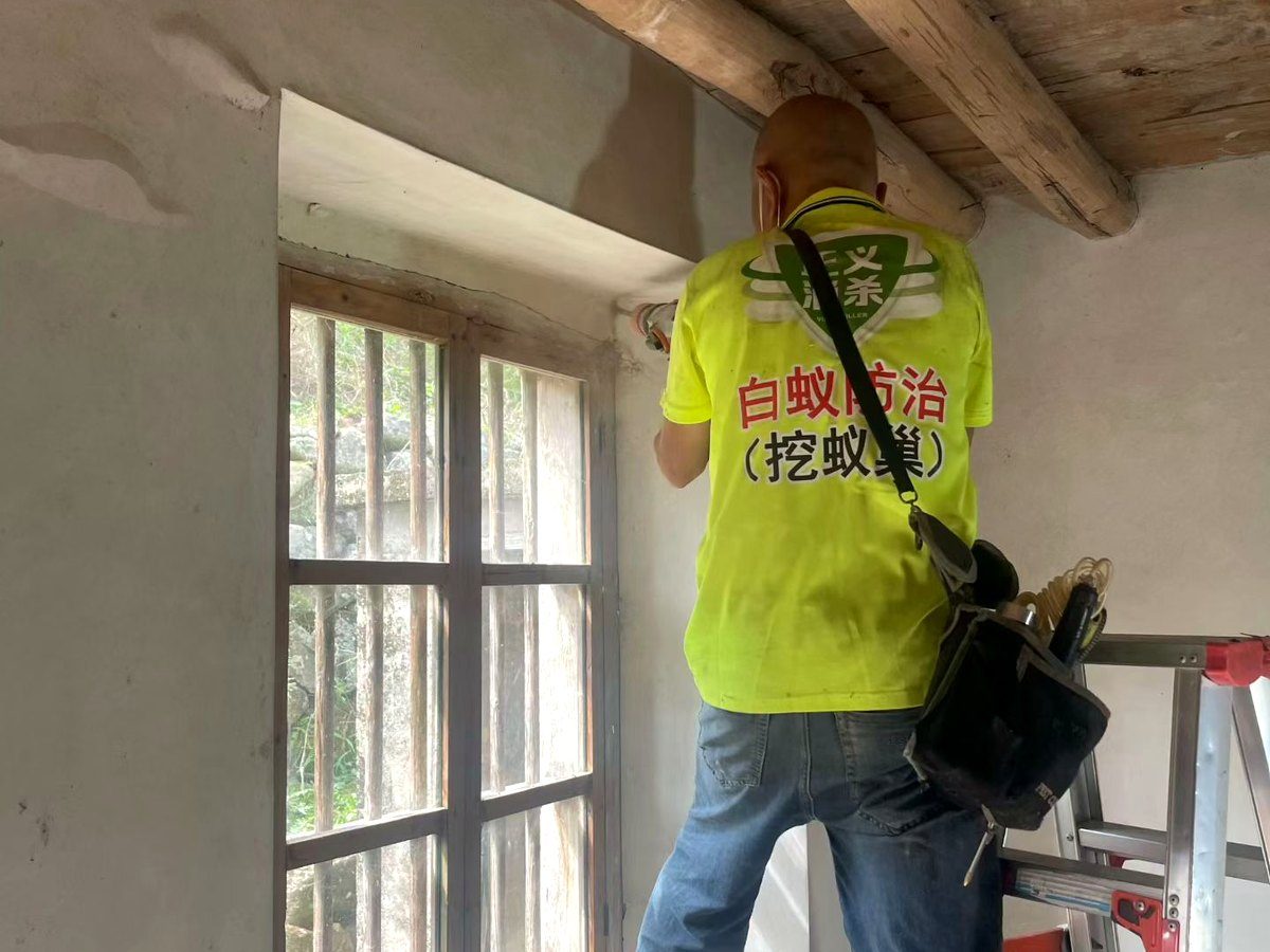 窗边墙体钻孔施药作业