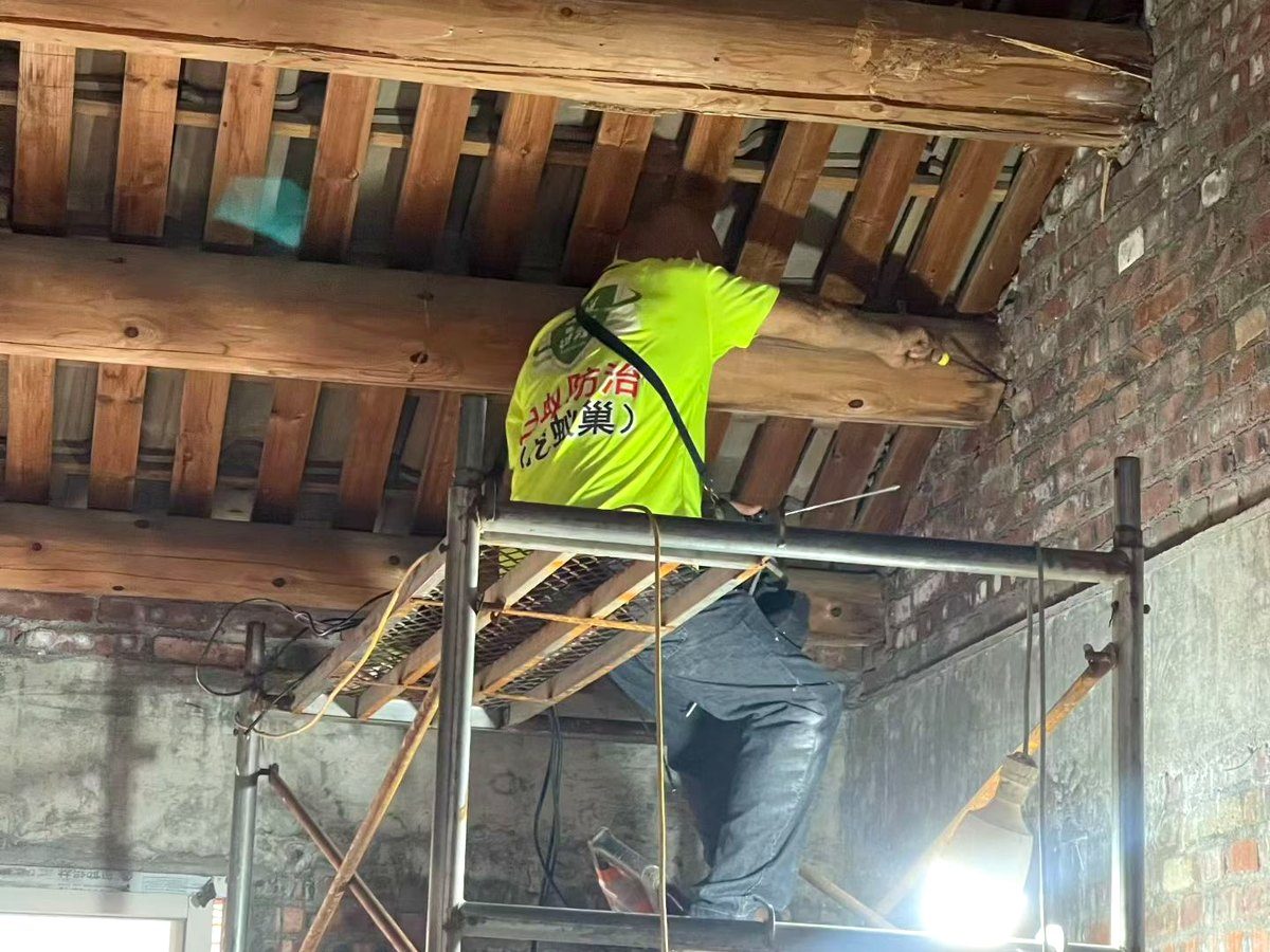 砖木古建屋架高处白蚁施药作业